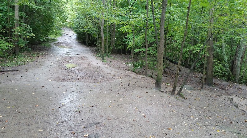 Harmony Valley Park and Off-Leash Dog Park