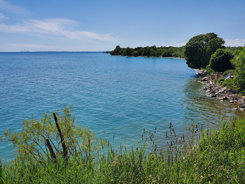 Lakewoods Park Lookout