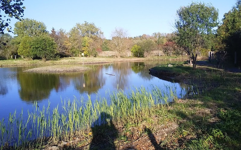 McLaughlin Bay Wildlife Reserve