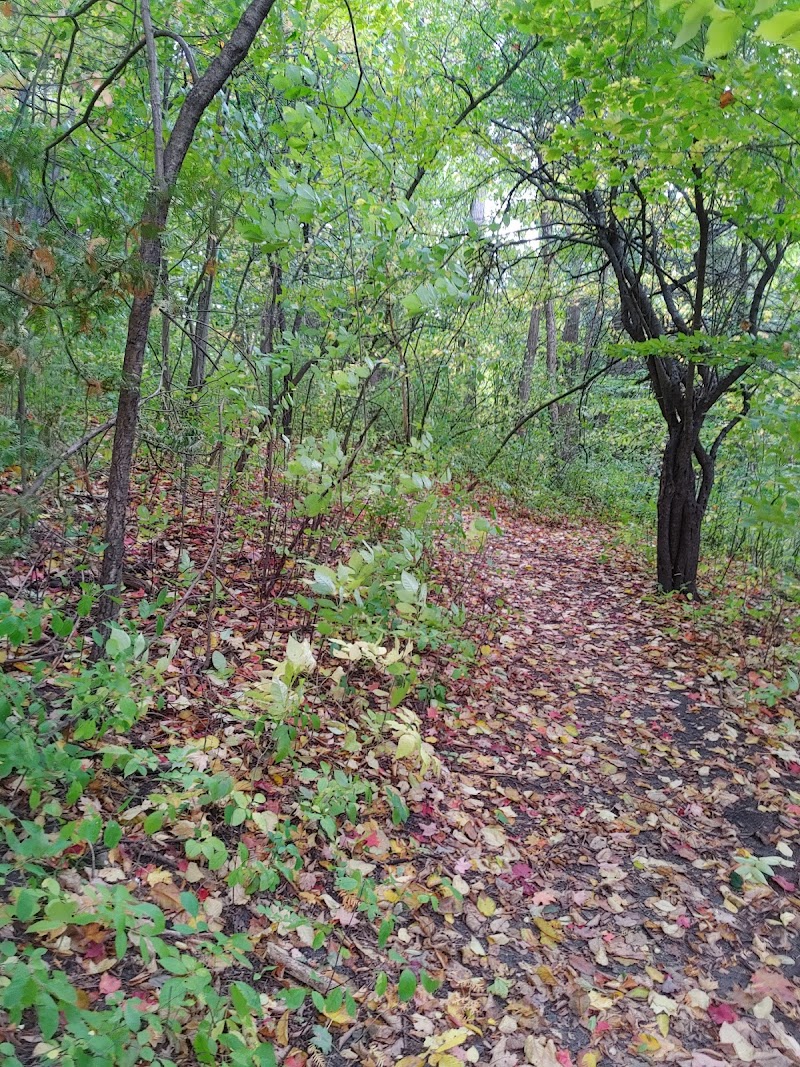 North Oshawa Park