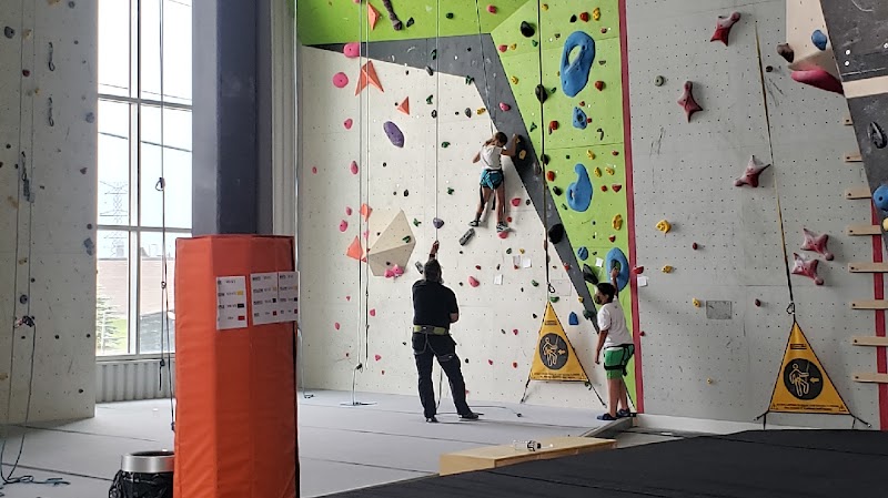 Pinnacle Indoor Rock Climbing