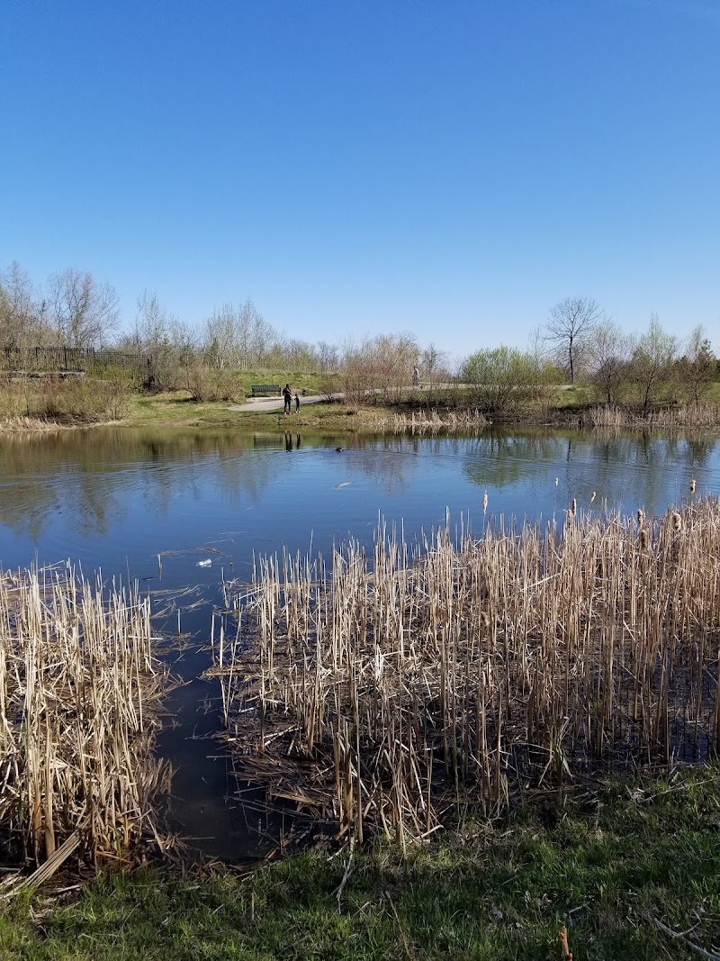 Stormwater Quality Pond & Forest Area