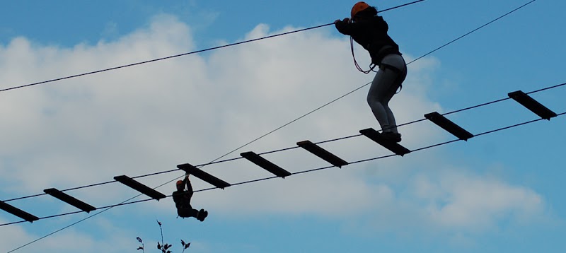 Treetop Eco-Adventure Park and iBOUNCE Trampoline Park
