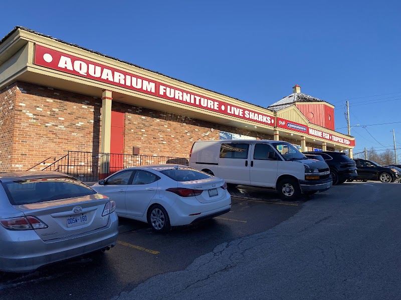 Big Al's Aquarium Supercentres - Whitby