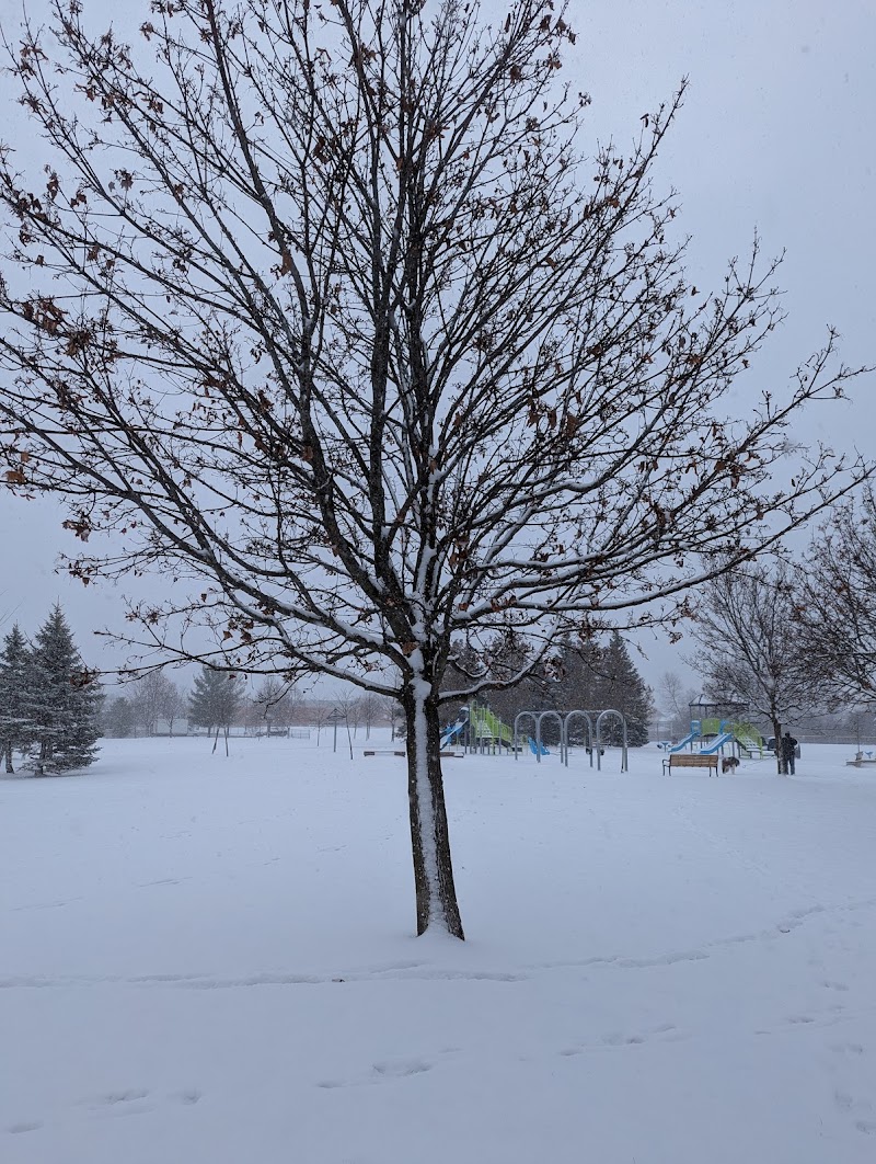 Carson Park