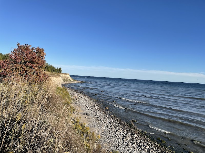 Centennial Grove