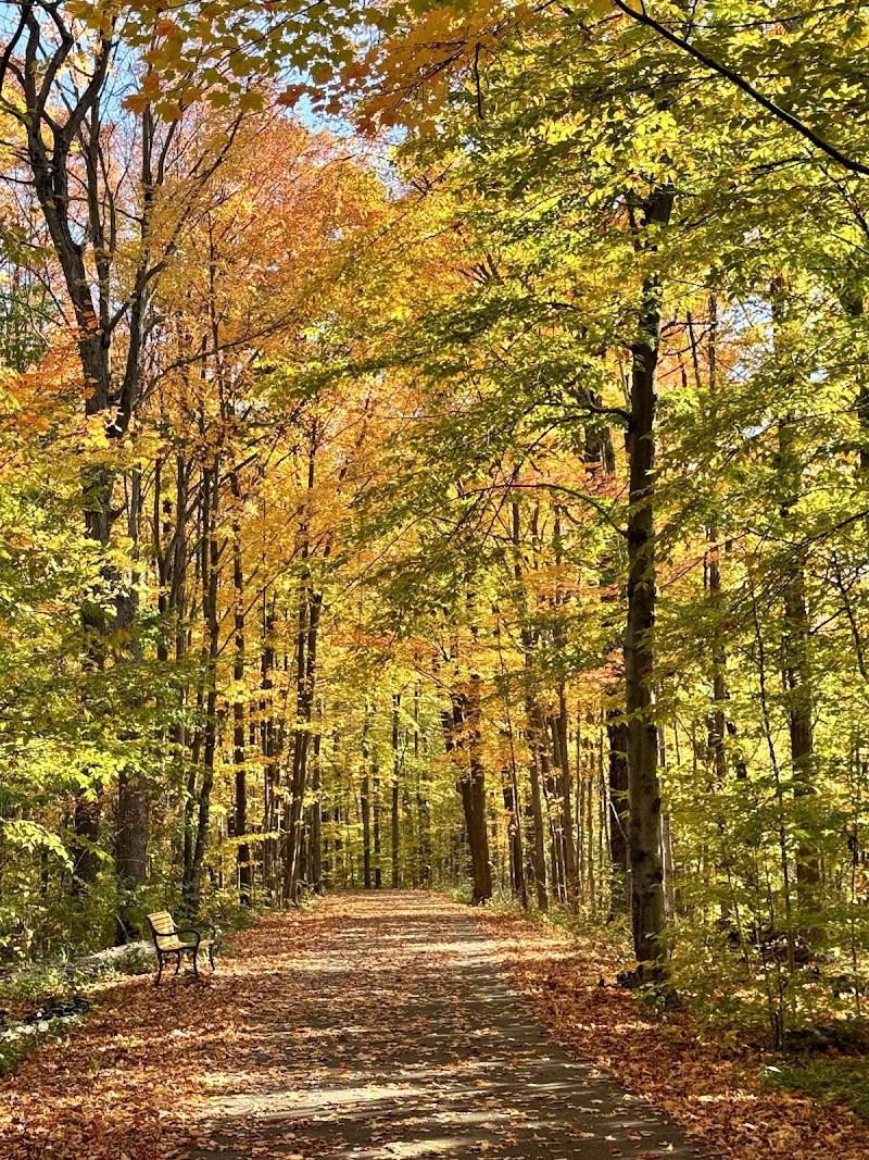 Heber Down/Cullen park trail