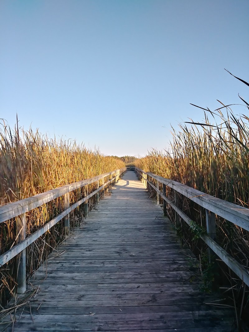 Lynde Shores Conservation Area