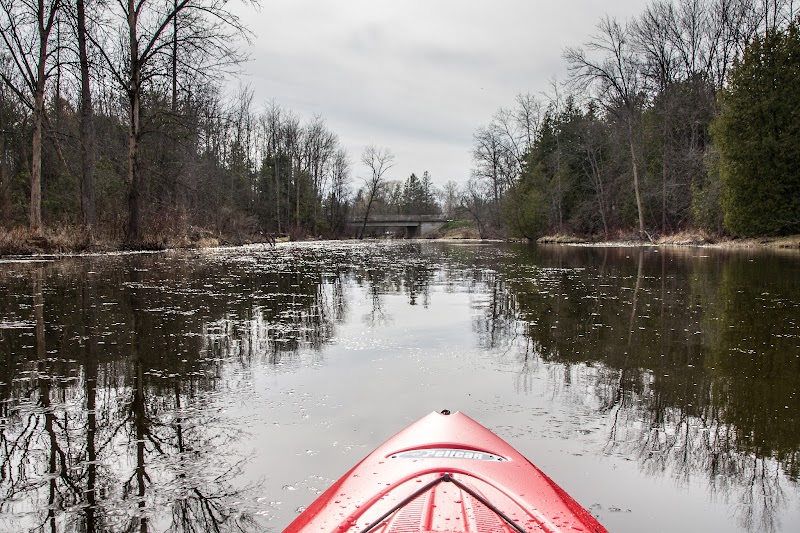 Riverview Kayaking and Wellness