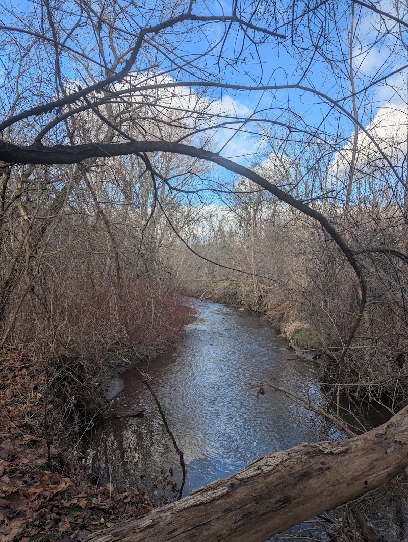 Thistles nature trail